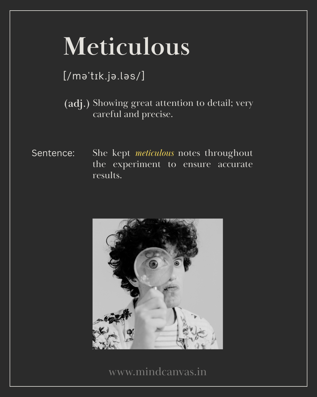 Meticulous