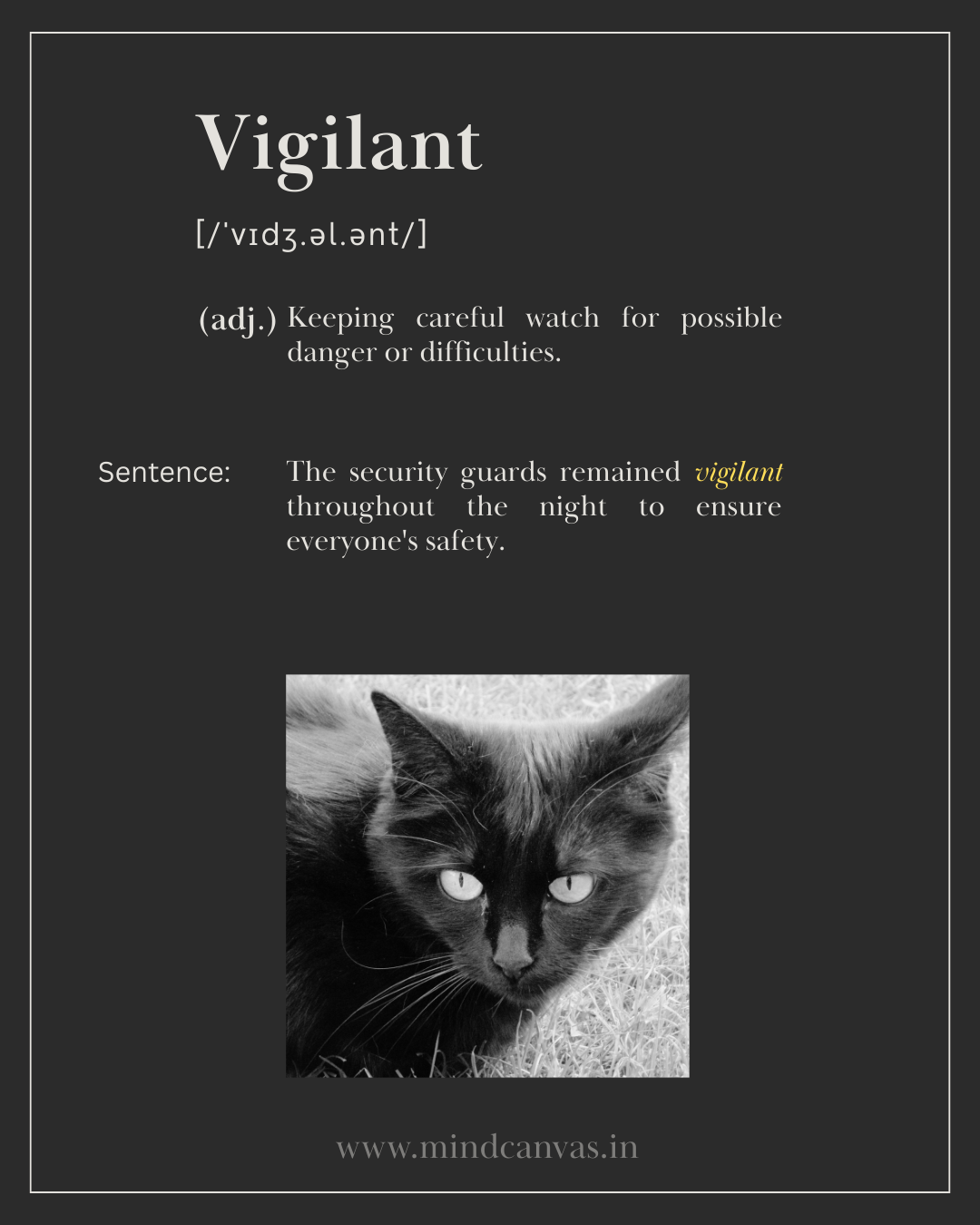 Vigilant